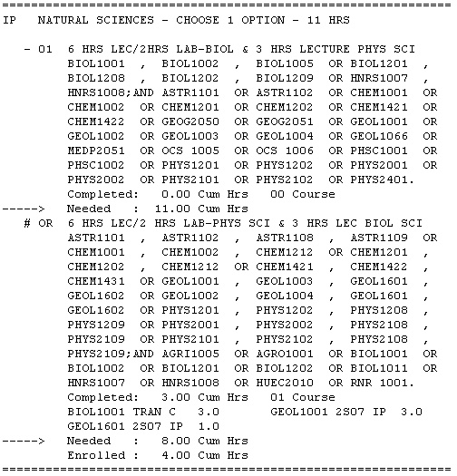 official degree audit printout
