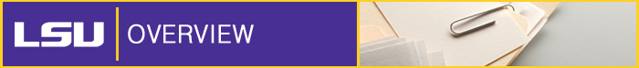 LSU Online Overview Banner Image