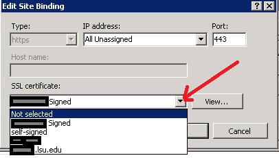 Edit Site Binding dialog box