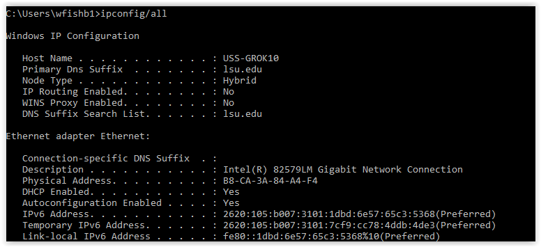 command prompt showing ipconfig/all