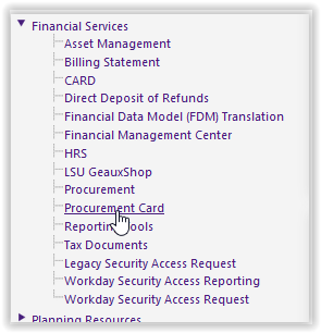 Procurement Card link