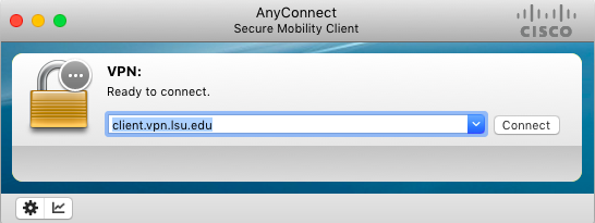 Cisco AnyConnect client showing server information