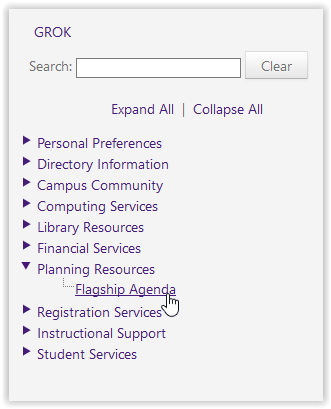 Planning resources/flagship agenda option in myLSU