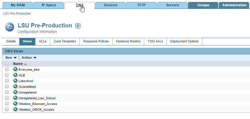 DNS Tab