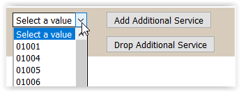 select service code options in additional services
