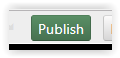 publish button