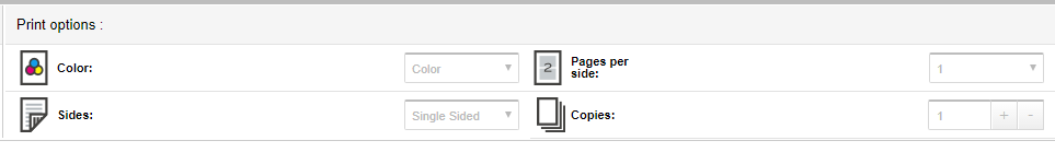 Print settings - including color and slide orientation.