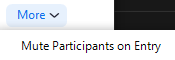 Mute participants on entry