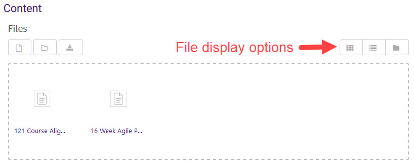 File display options in a Folder in Moodle 3.7