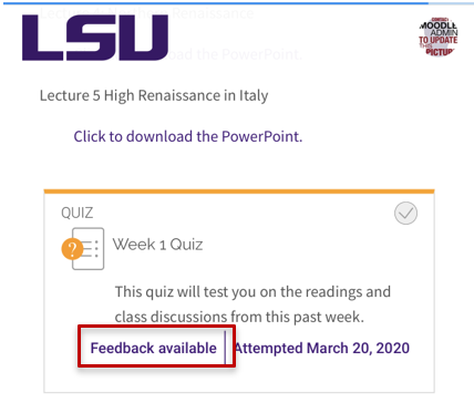 quiz feedback