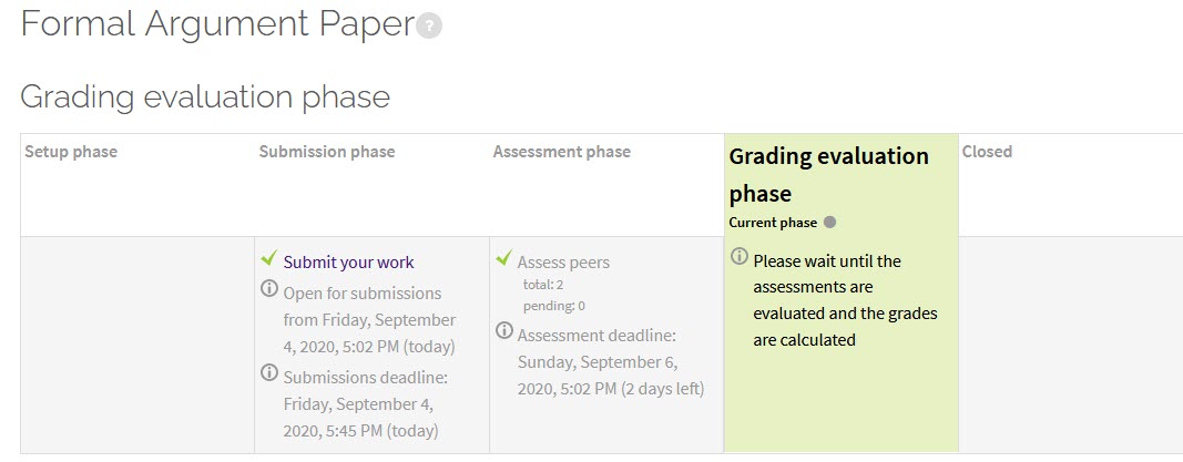 What student sees during workshop grading phase