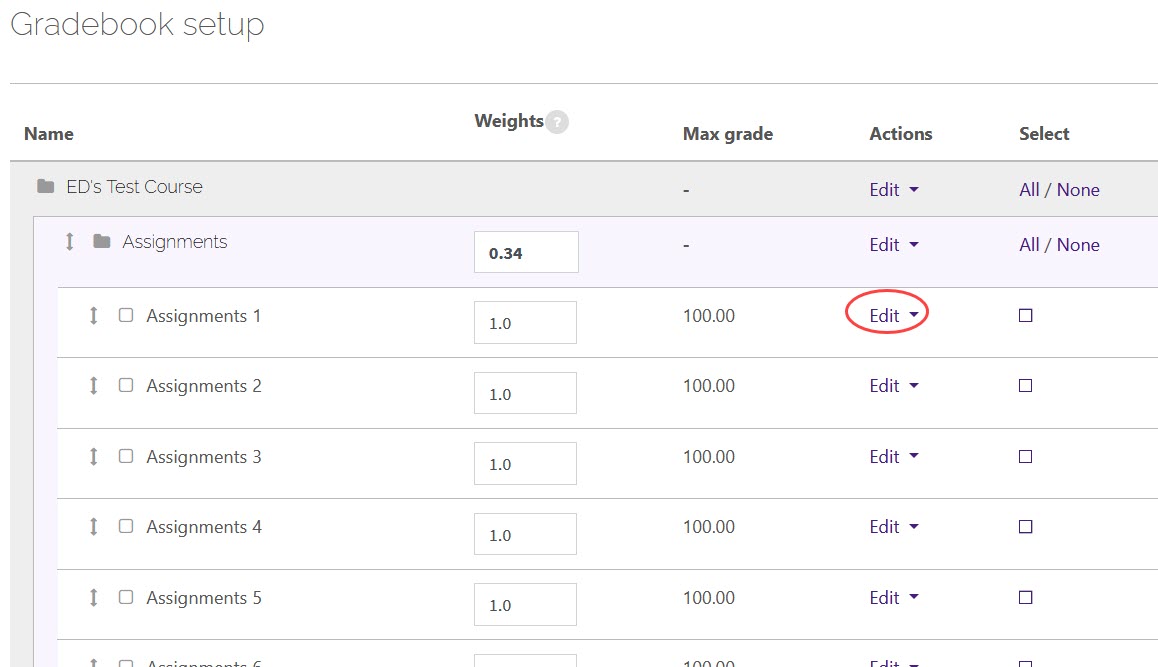 Edit item links on the Gradebook setup page