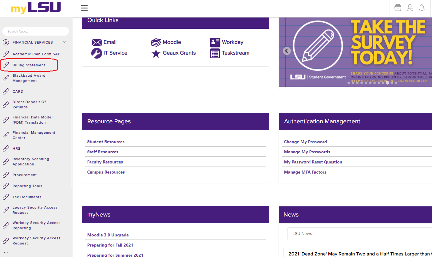 Billing Statement under Financial Services