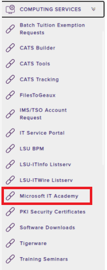myLSU: Microsoft IT Academy