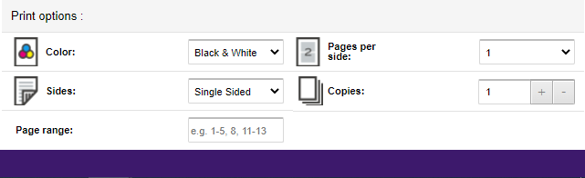 Print settings section.