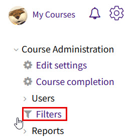 Administration Menu Filters Option